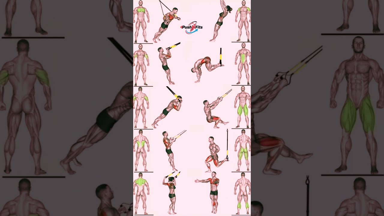 TRX Workouts for Women & Man  Full Body TRX Workout Plan & Routine