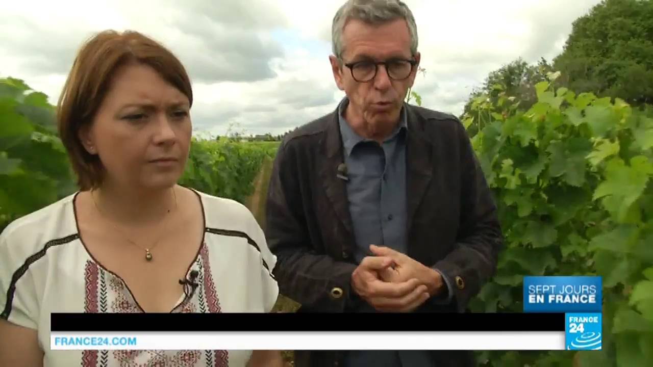 Bordeaux : la capitale du vin