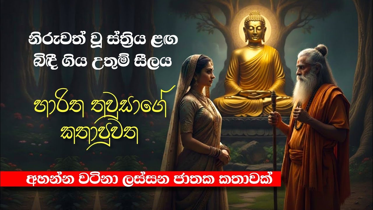 බලවත් වූ රාගය නිසා | සියලු බල බිඳුණු තවුසාණෝ 🥺 | Bana 24 Feb 2026