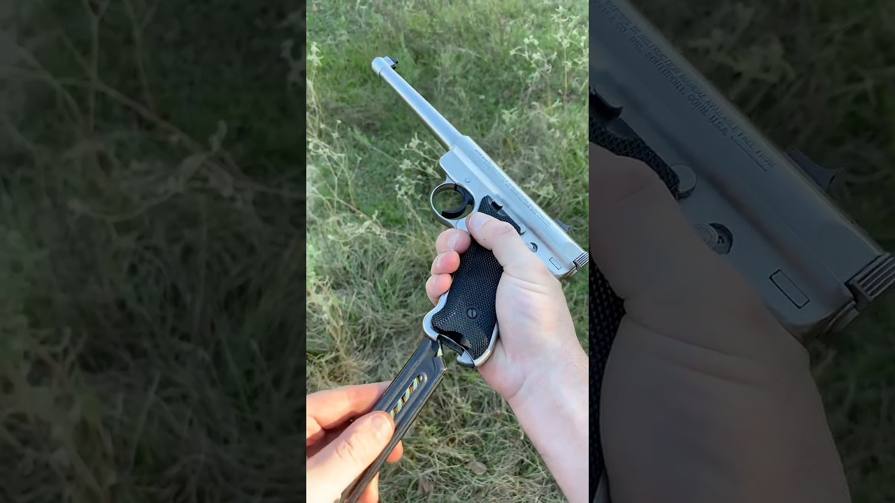 Stainless Steel .22 Ruger