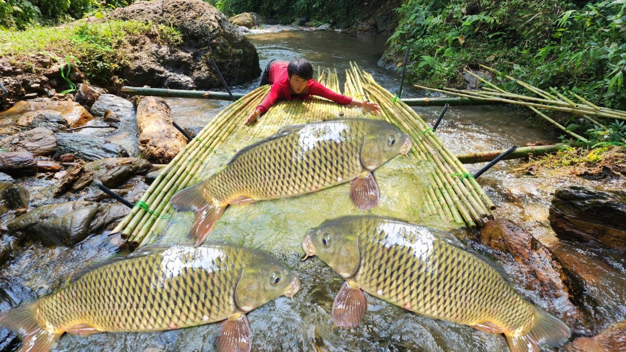 Full video of 21 days of making fish traps in streams, catching a lot of fish and selling them.