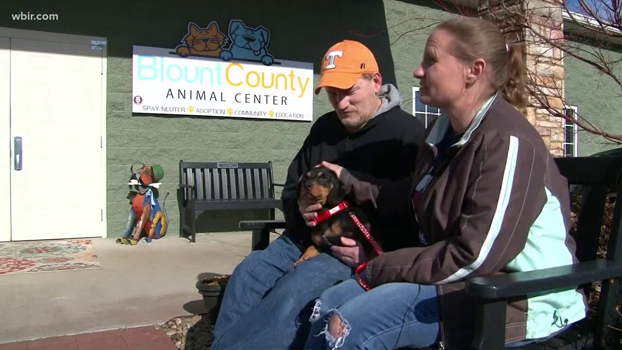Dog from animal abuse case goes home to original owners