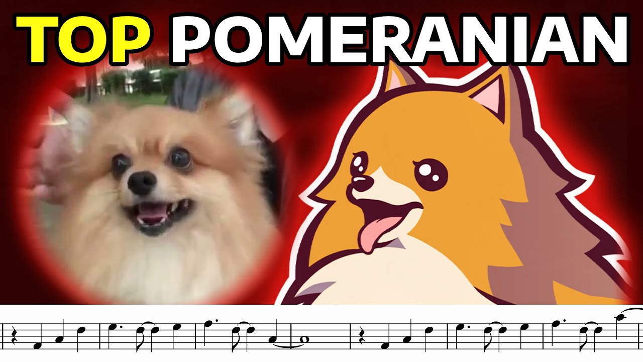 How Ghost Trick immortalized a puppy through Video Game Music