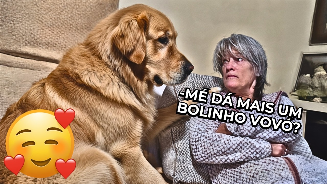 Quando seu Cachorro Insiste em Amar a Vovó! ANIMAIS ENGRAÇADOS 2026 - #06