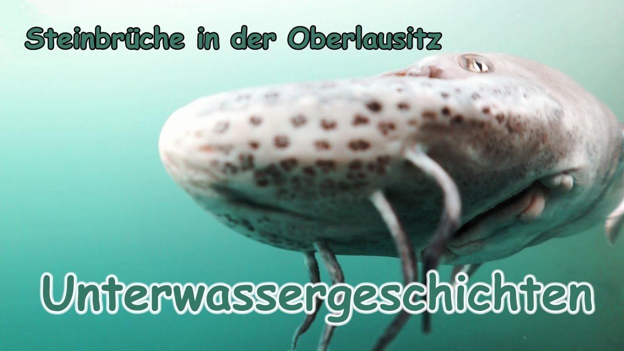 Steinbrüche in der Oberlausitz - Unterwassergeschichten