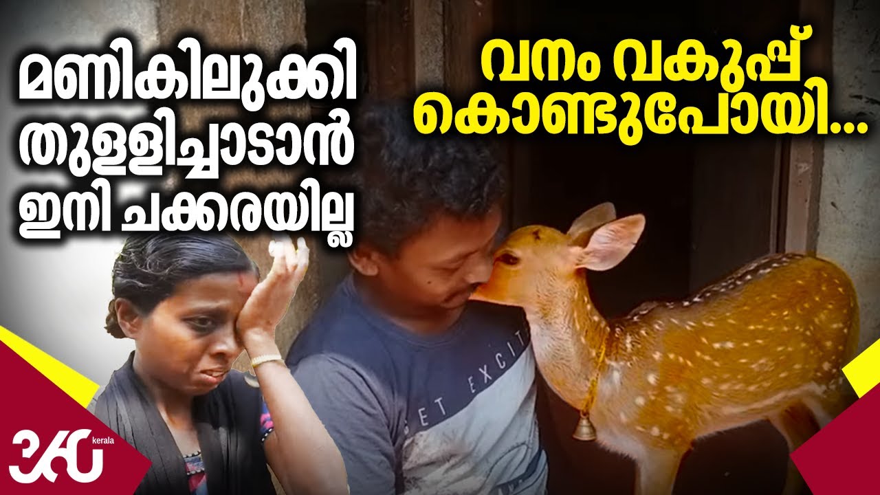 Chakkara Deer | വനം വകുപ്പ് കൊണ്ടുപോയി... മണികിലുക്കി തുളളിച്ചാടാന്‍ ഇനി ചക്കരയില്ല | Wayanad