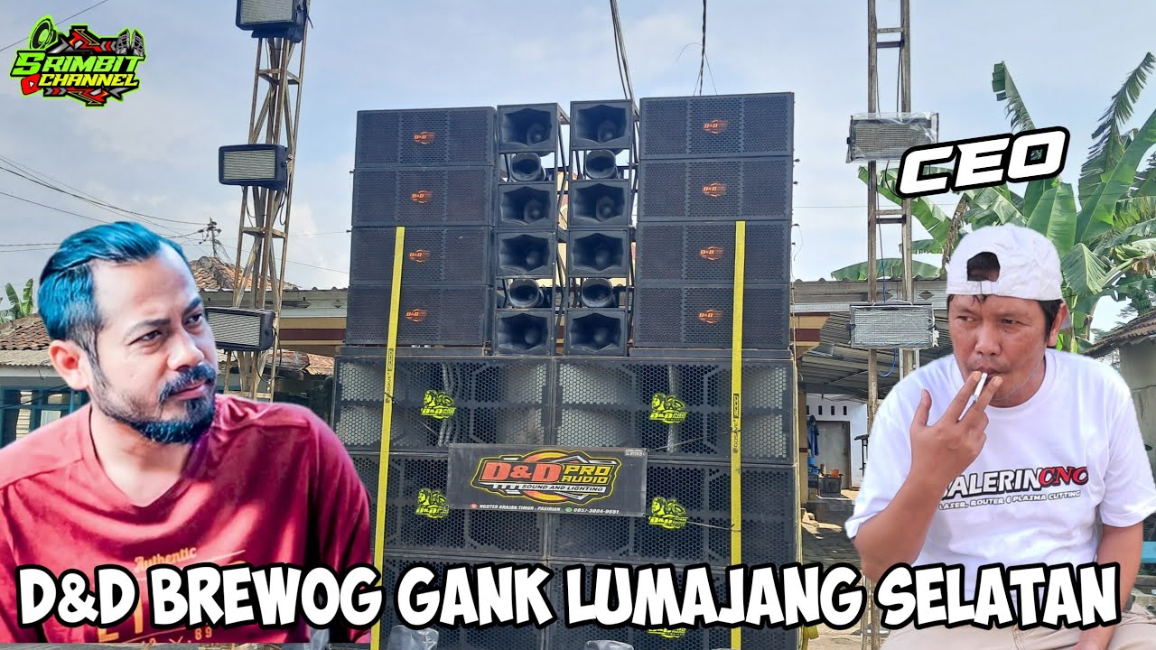 Pagi Pagi Sudah Berulah Ontran Ontran Brewog Gank Lumajang Selatan 