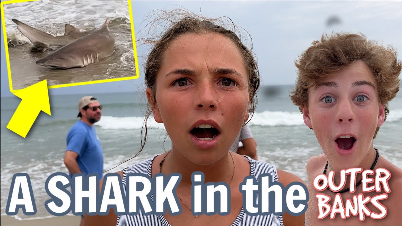 He Caught A SHARK on our BEACH | They Told Us to Get Out! | Outer Banks Vacation Day 4