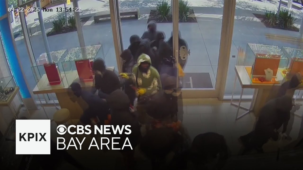 South Bay public safety leaders say region is safer as theft prosecutions are up