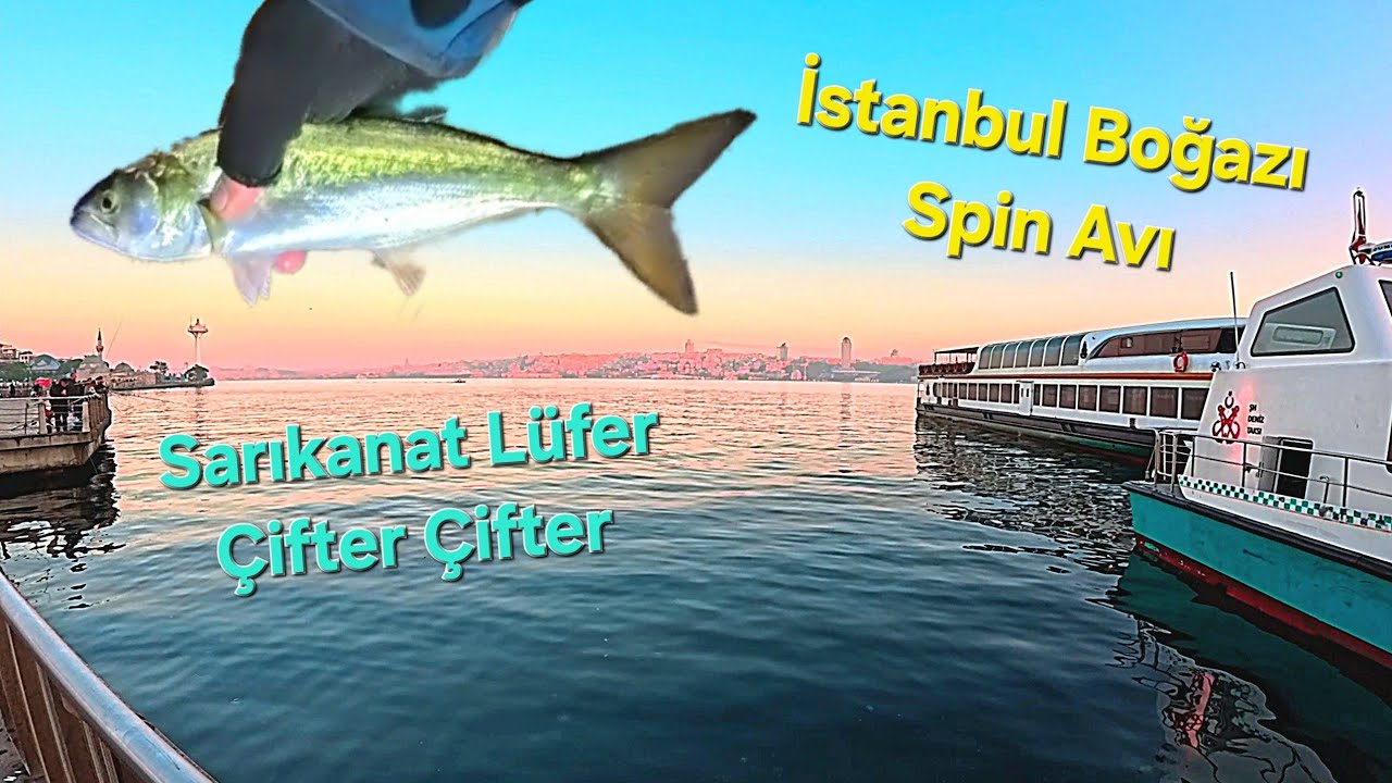 SARIKANAT LÜFER ÇİFTER ÇİFTER - Spin ile İSTANBUL BOĞAZI LÜFER | SARIKANAT | ÇİNEKOP Avı