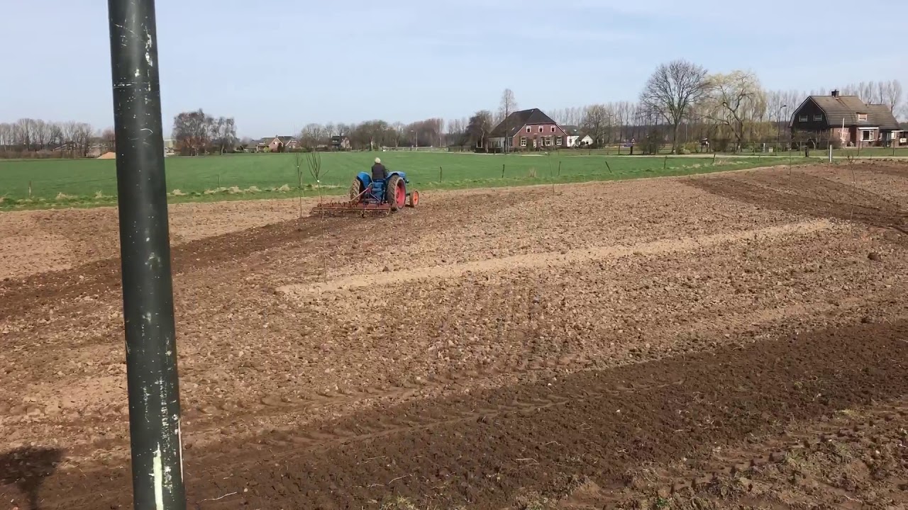 Fordson major e1adkn with spring tine harrow