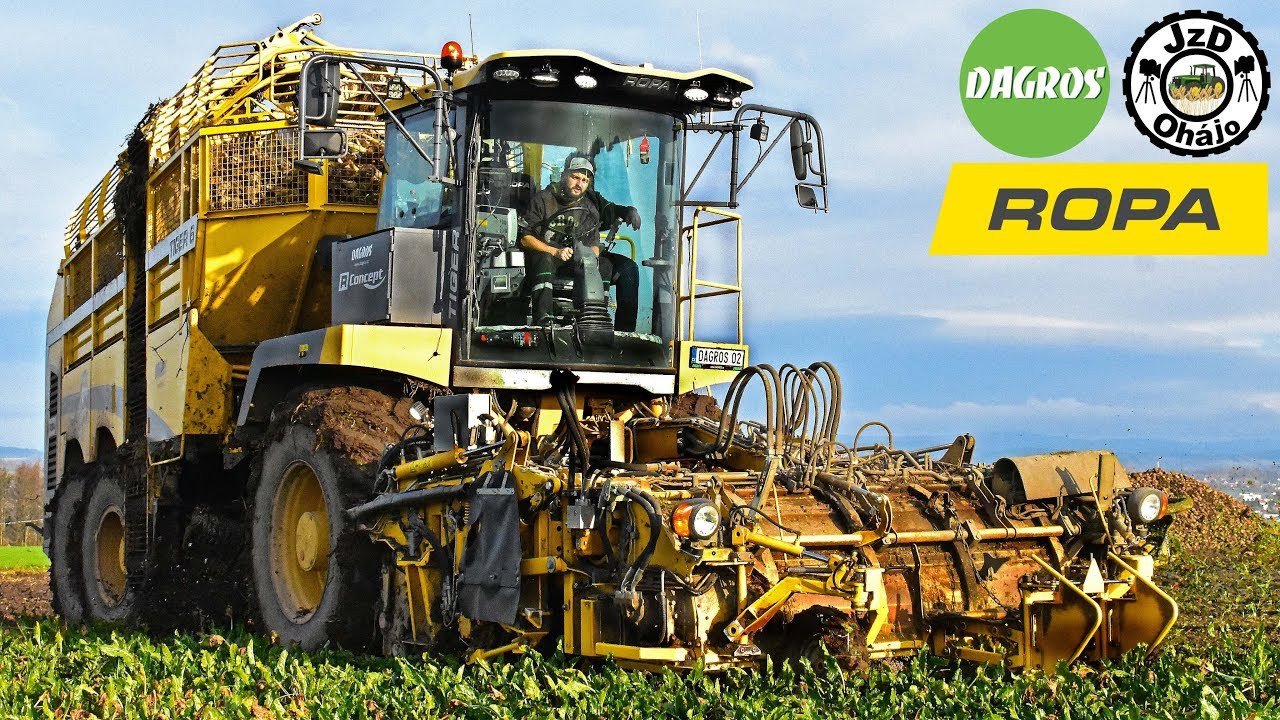 ROPA TIGER 6 - Řepn&aacute; kampaň 2019 |SUGAR BEET Harvest 2019| DAGROS s.r.o.
