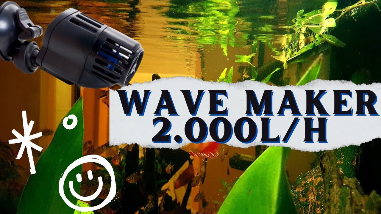 As Bombas de circulação wave maker SunSun 2.000l/h são boas??? Vamos Conferir...