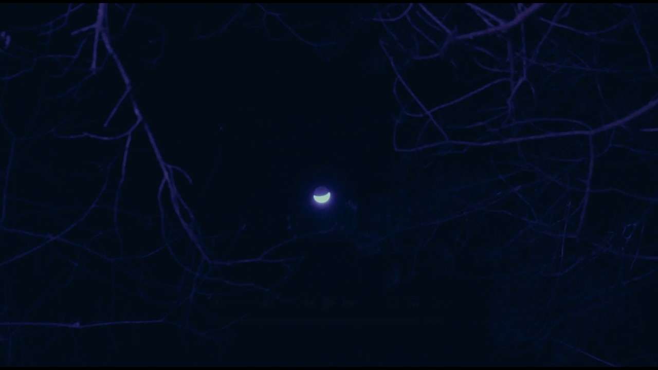 Stars - Official Visualizer