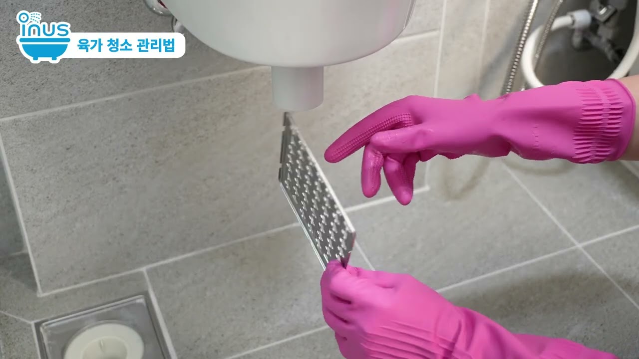 육가 청소 관리법