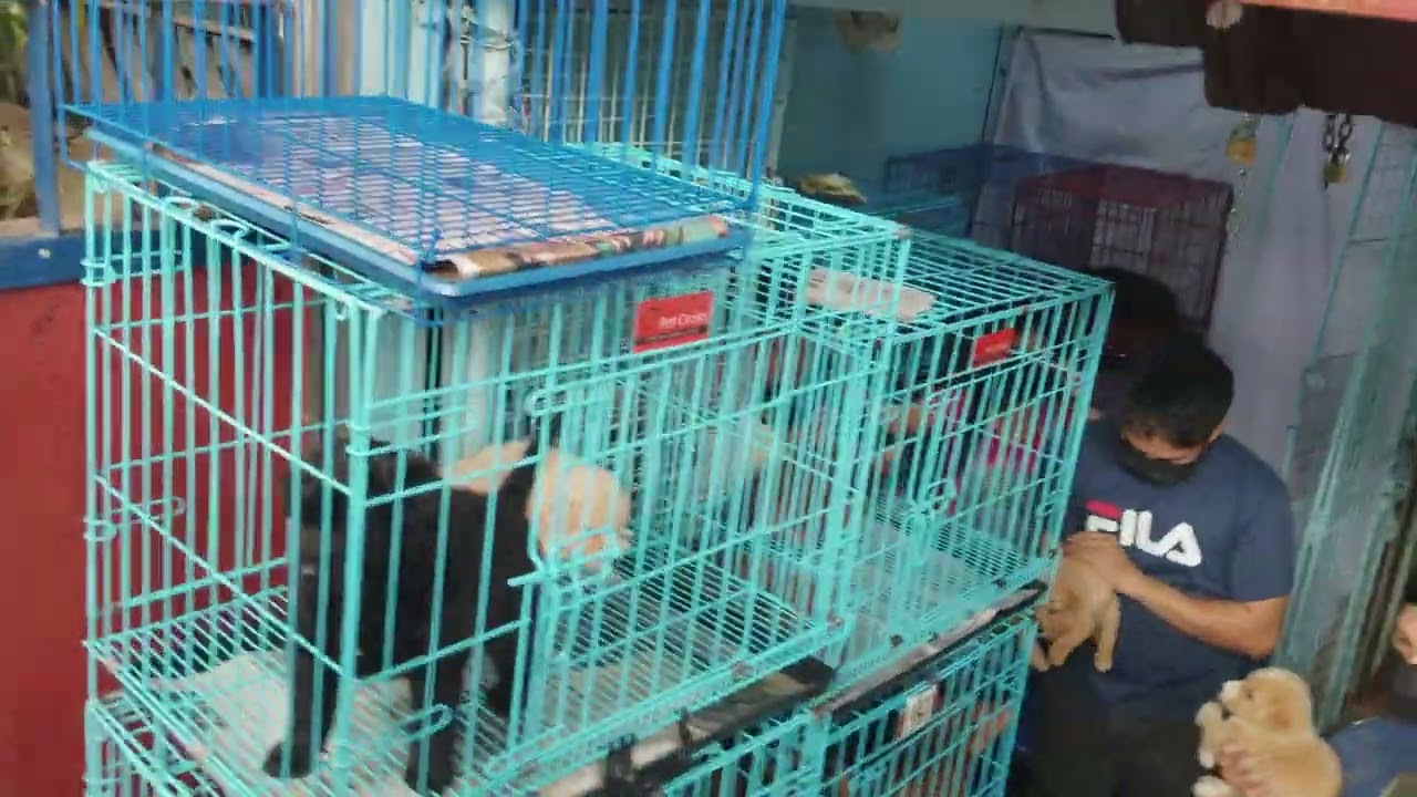 @Aranque Recto Manila
