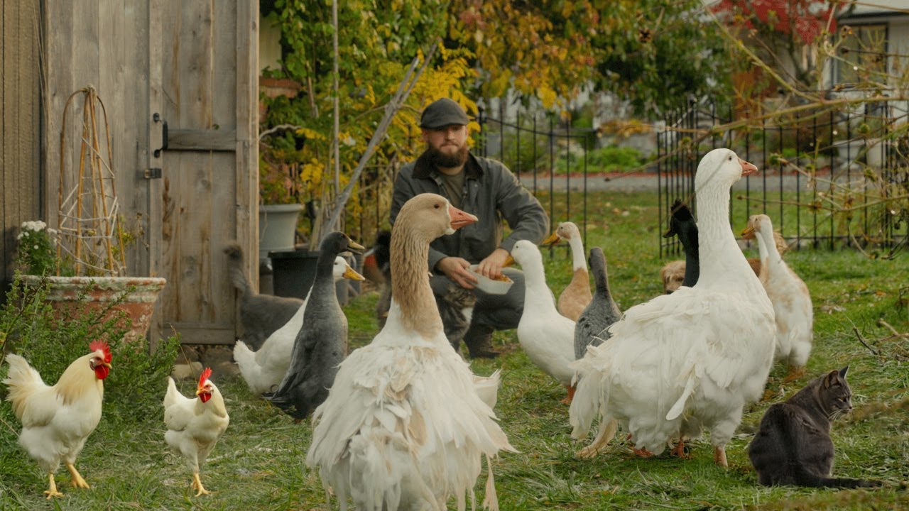 The Beauty of Simple Living | Fall Days on Our Little Farm