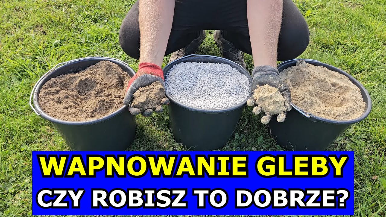 Złe Wapnowanie Gleby. Błędy w Wapnowaniu Ogrodu Warzywnego, Trawnika. Kreda Dolomit Wapno Stosowanie