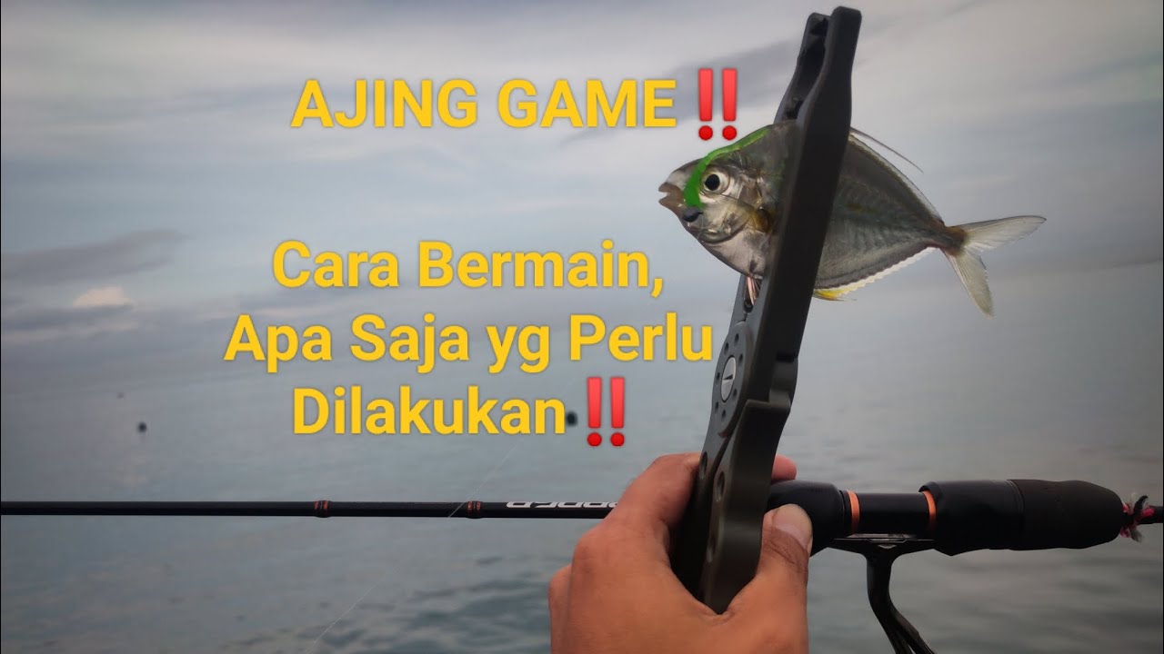 AJING‼️Cara Bermain⁉️Apa Saja yg Perlu Dilakukan⁉️Full Tutorial AJING‼️#keranga #soare #fyp
