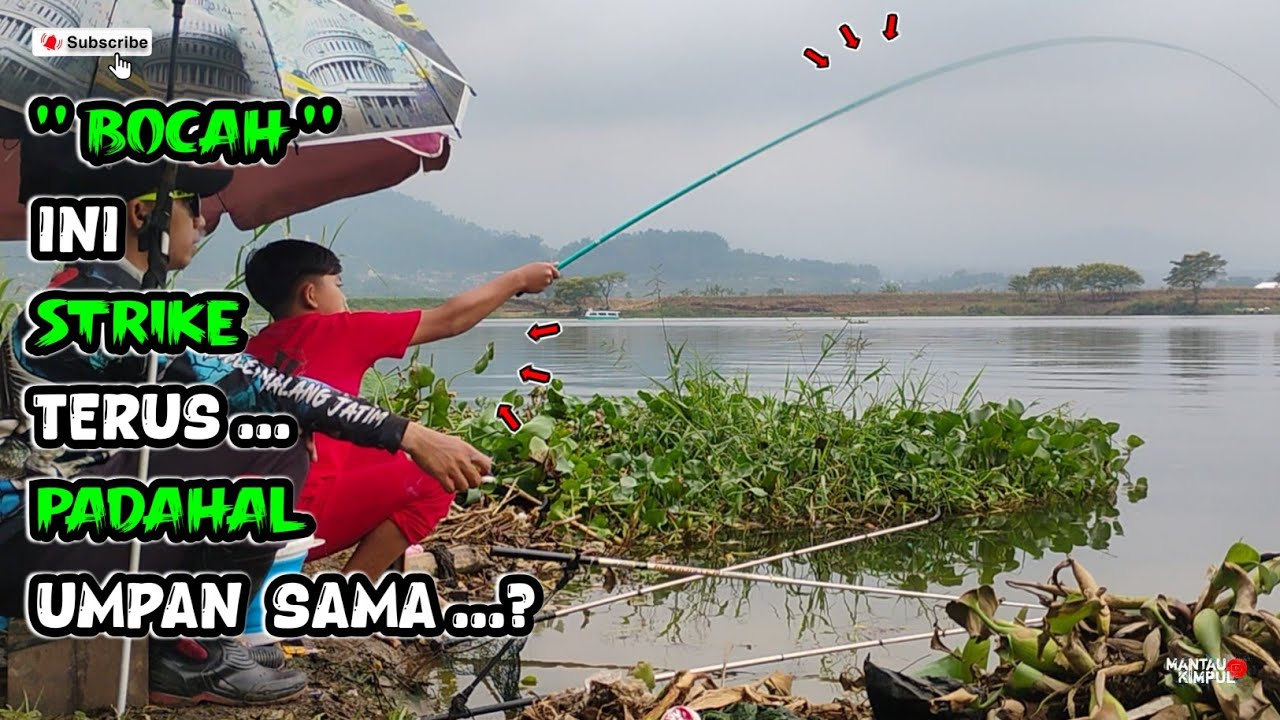 Umpan Sama , Tapi Bocah Ini Bisa Strike Terus | Mancing Ikan Nila Liar Waduk Selorejo Ngantang
