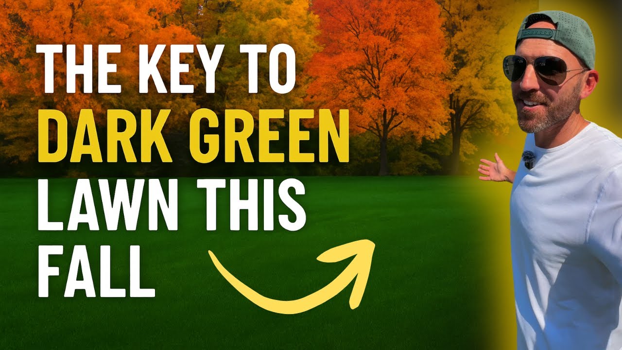 Nitrogen BLITZ or BUST!? // Dark Green Grass by Halloween!