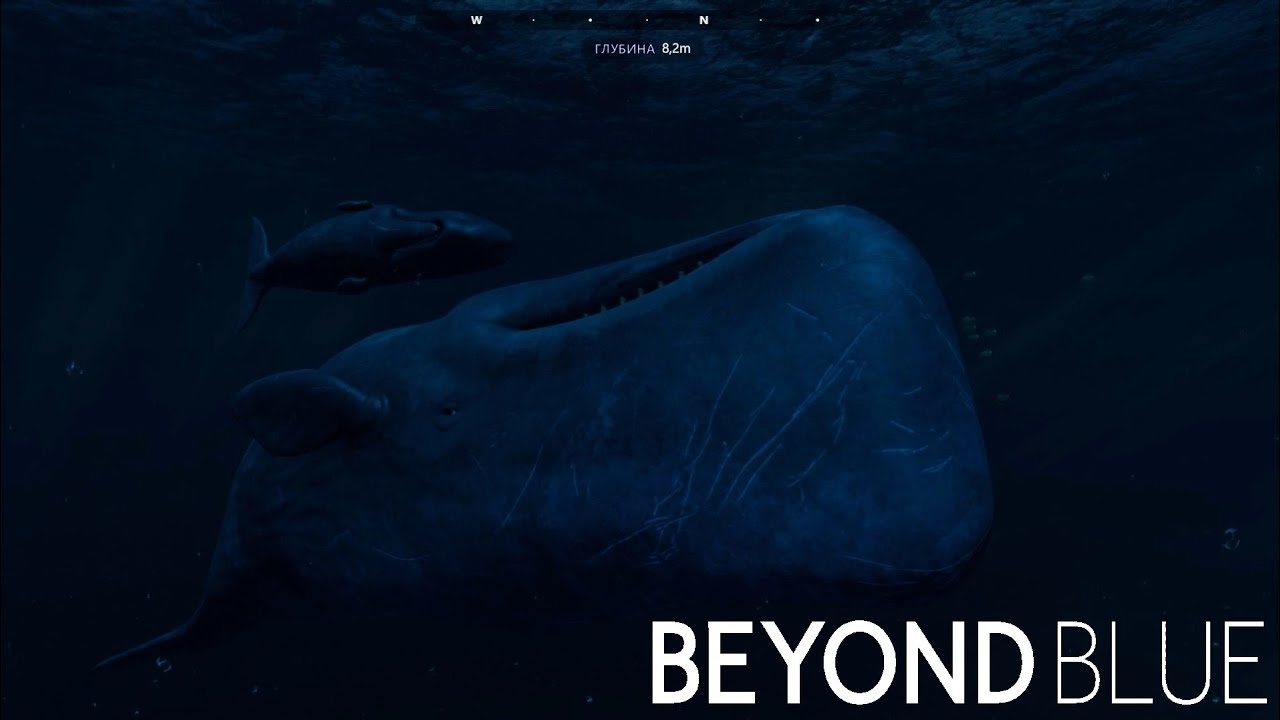 Финал. Beyond Blue 7 серия