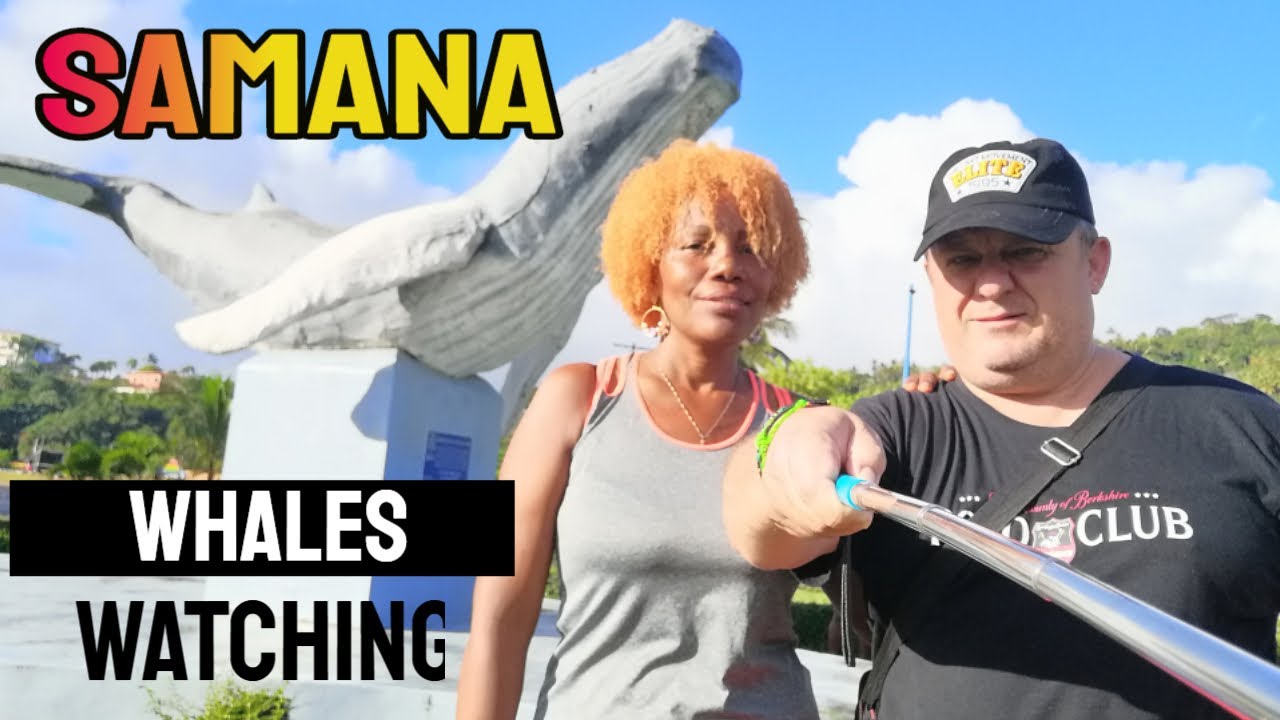 Humpback Whale Watching in Samana Dominican Republic Travel Ocean Wildlife Documentary