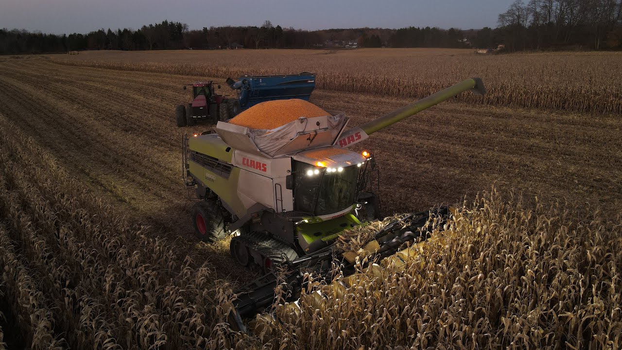 CLAAS 8600 harvesting corn at HIGH SPEEDS