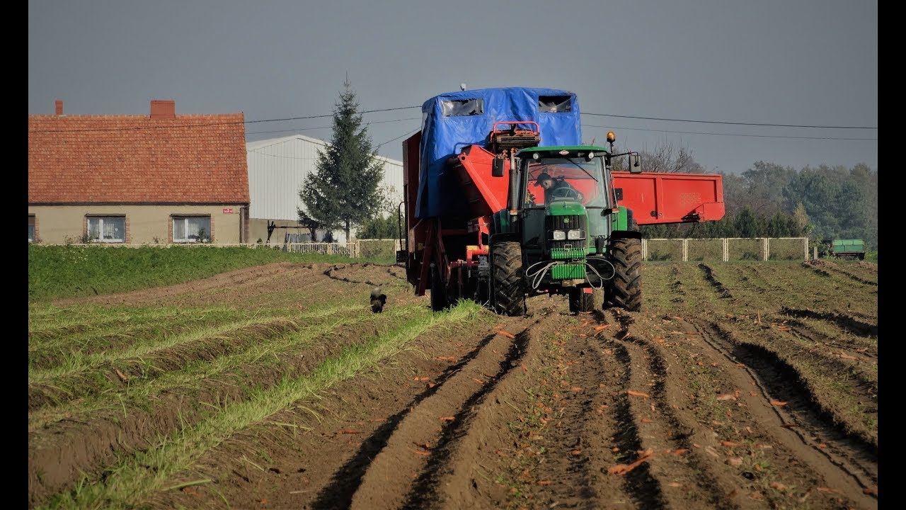 Zbi&oacute;r marchwi 2017_**BŁOTO-WTOPY**_NOWY NABYTEK_Grimme SR 80-40//Johh Deere 6430//Zetor Proxima 65
