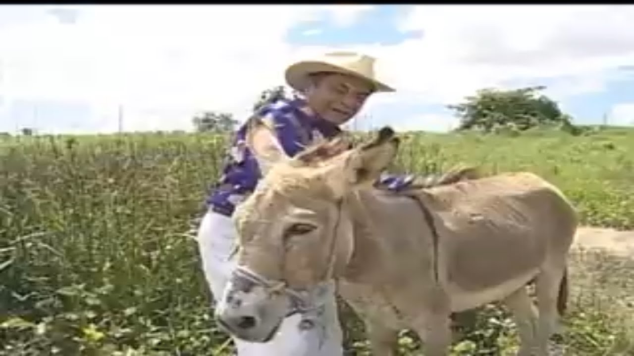 Pequeno Documentário com Elino Julião