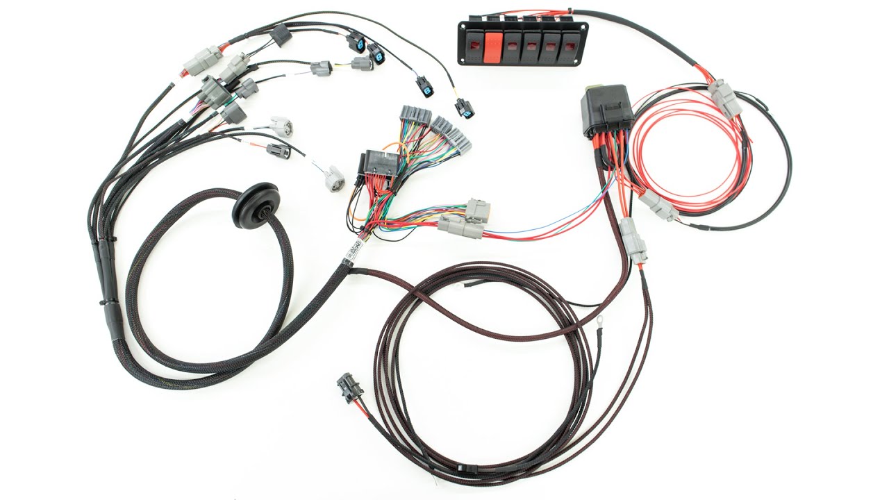 Honda Engine and Chassis Harness - Burton Racing