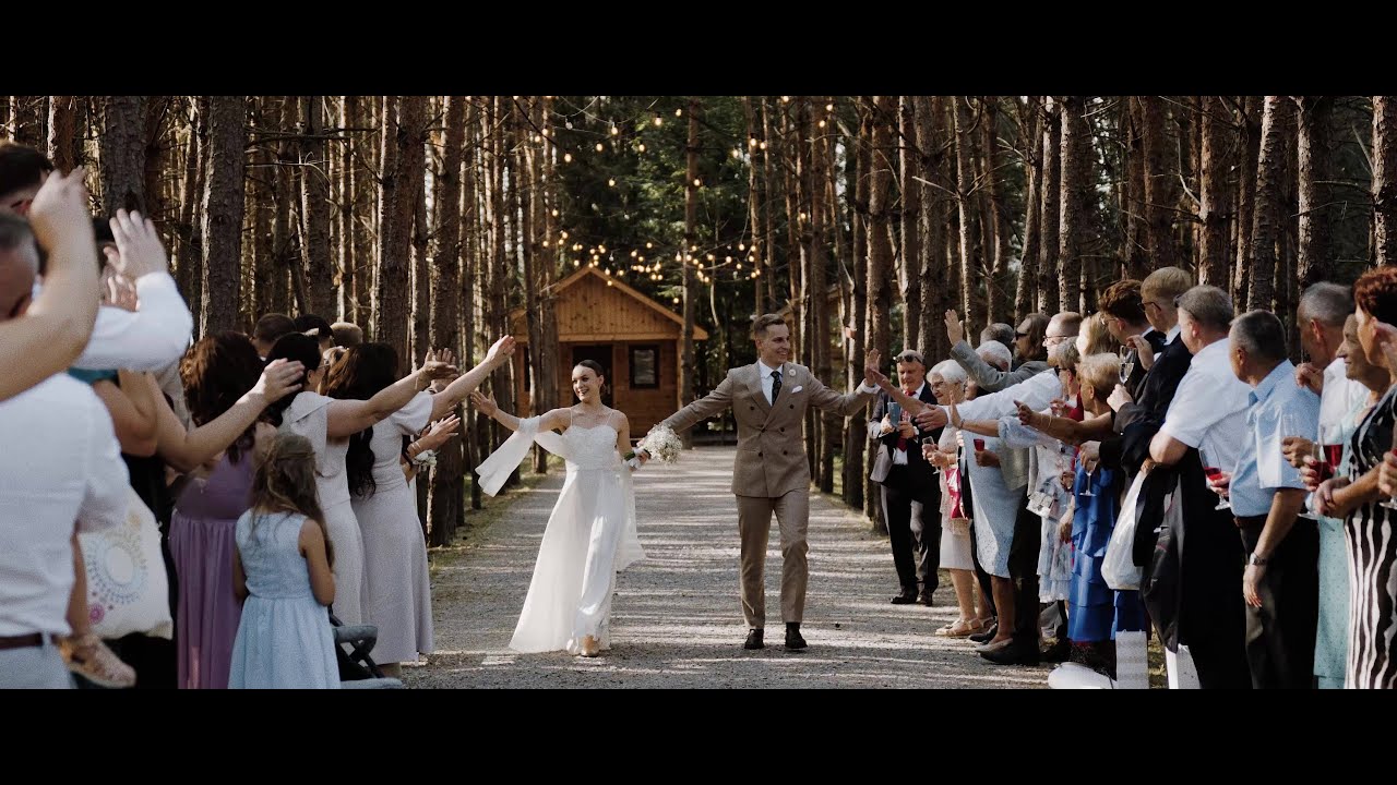 Olivia i Wojciech | wedding trailer | wesele w lesie - Forest