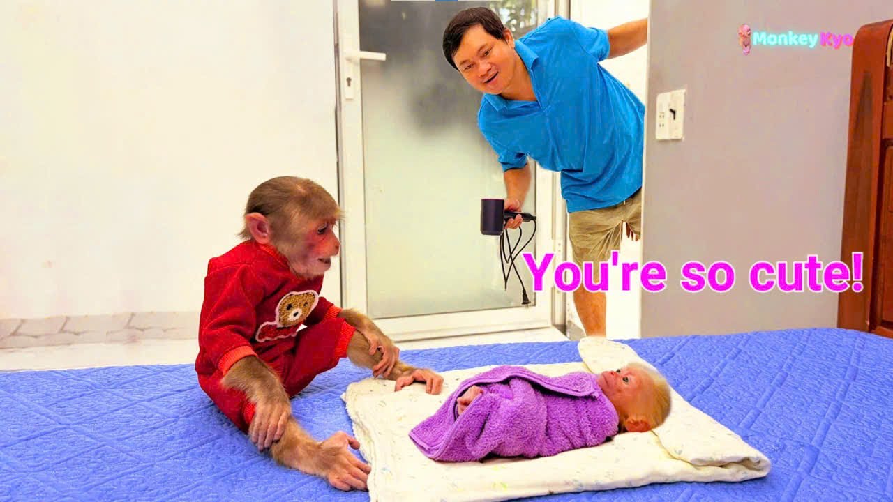 Monkey Kyo secretly helps the little monkey...So cute! 💕