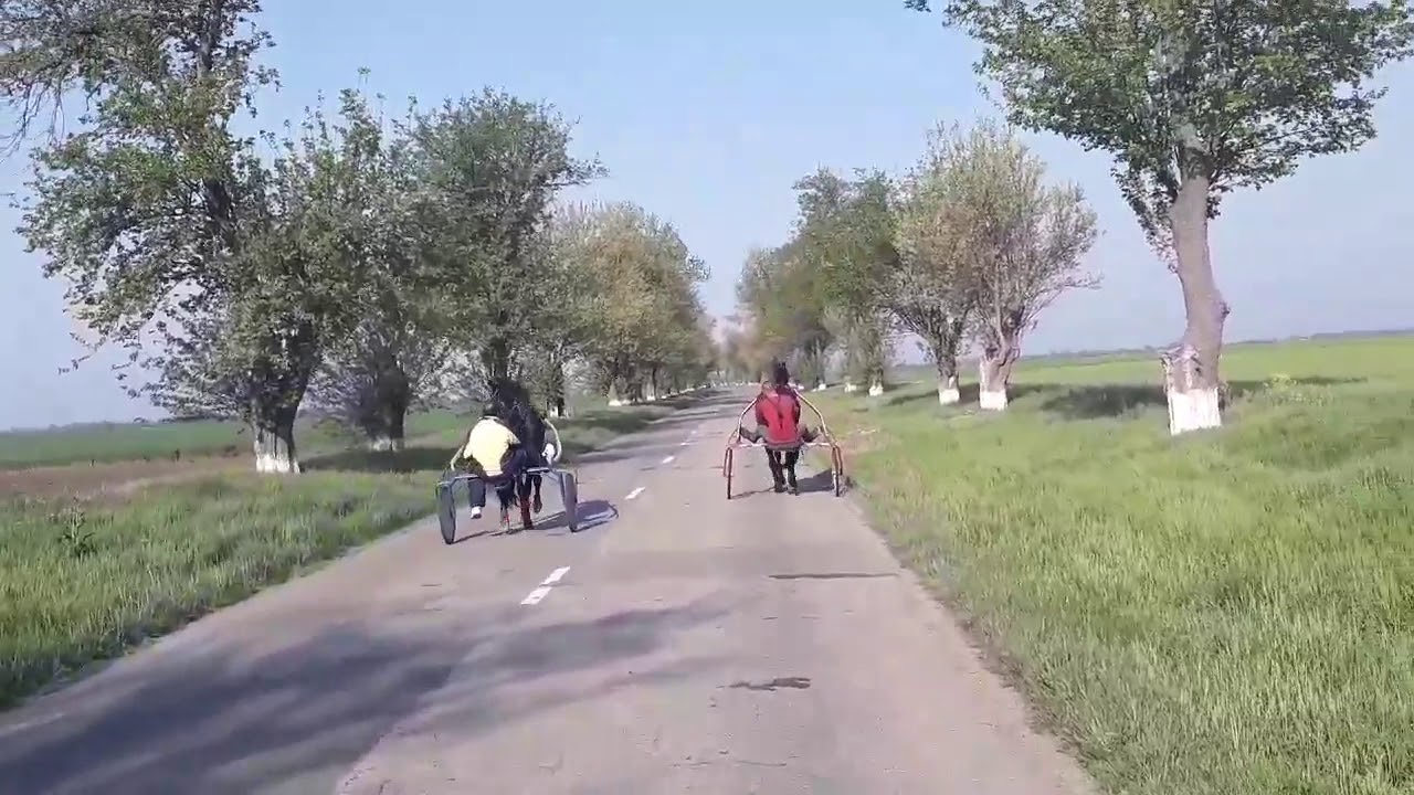 Cai Trapasi Bailesti Fane Spoitoru