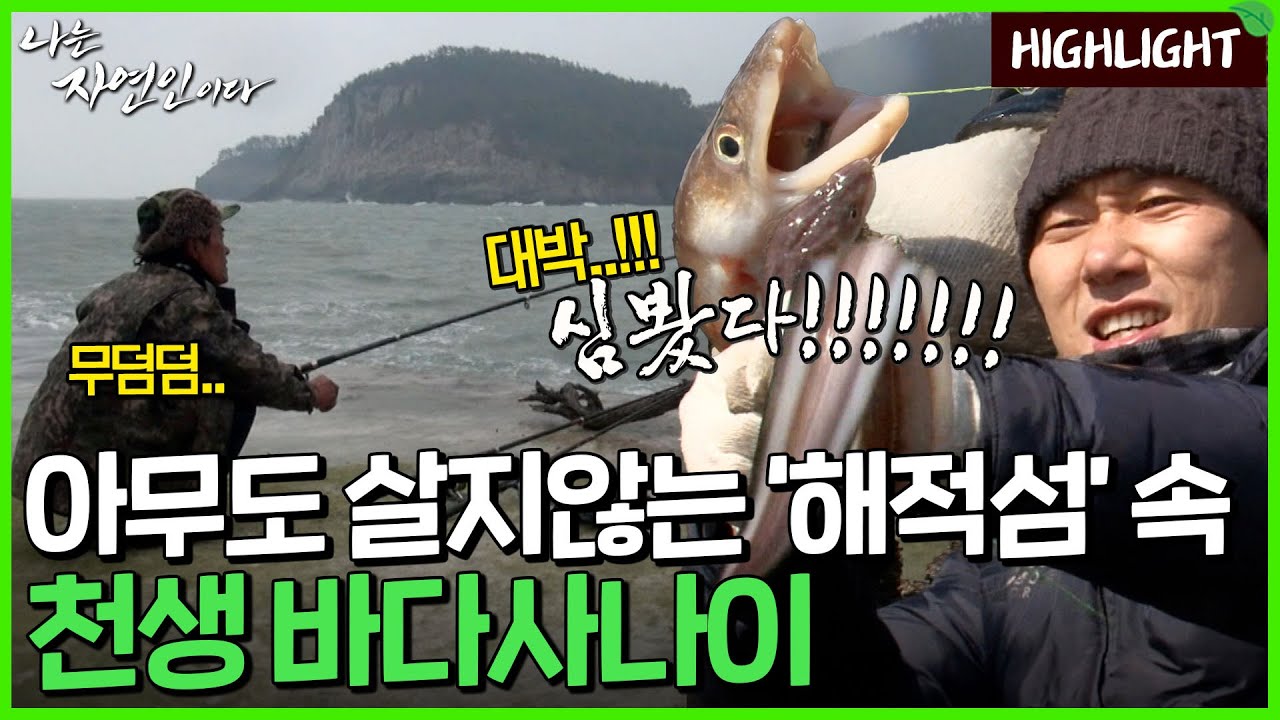 먼 옛날 해적들이 살았다고 전해지는 해적섬, 그 안에 홀로 살아가는 사람｜자연인 하이라이트 128회