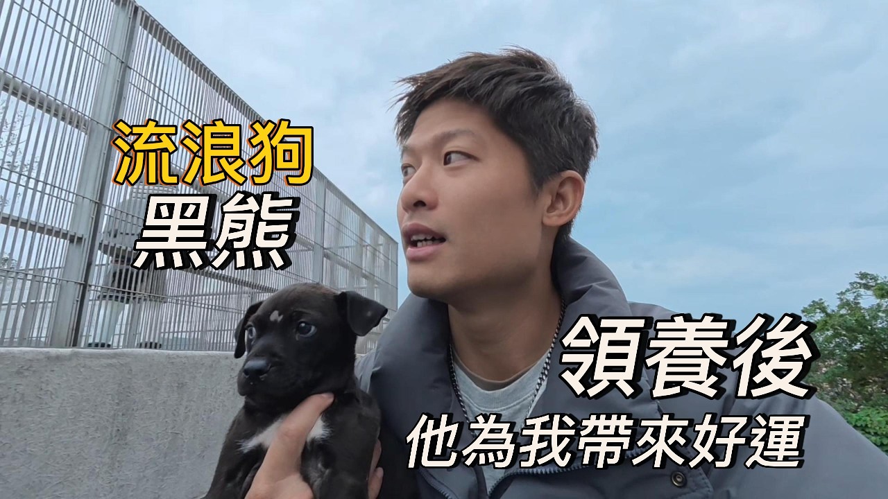 撿回一隻流浪狗後，我的人生開始變了…｜流浪狗小黑熊回家後的真實生活