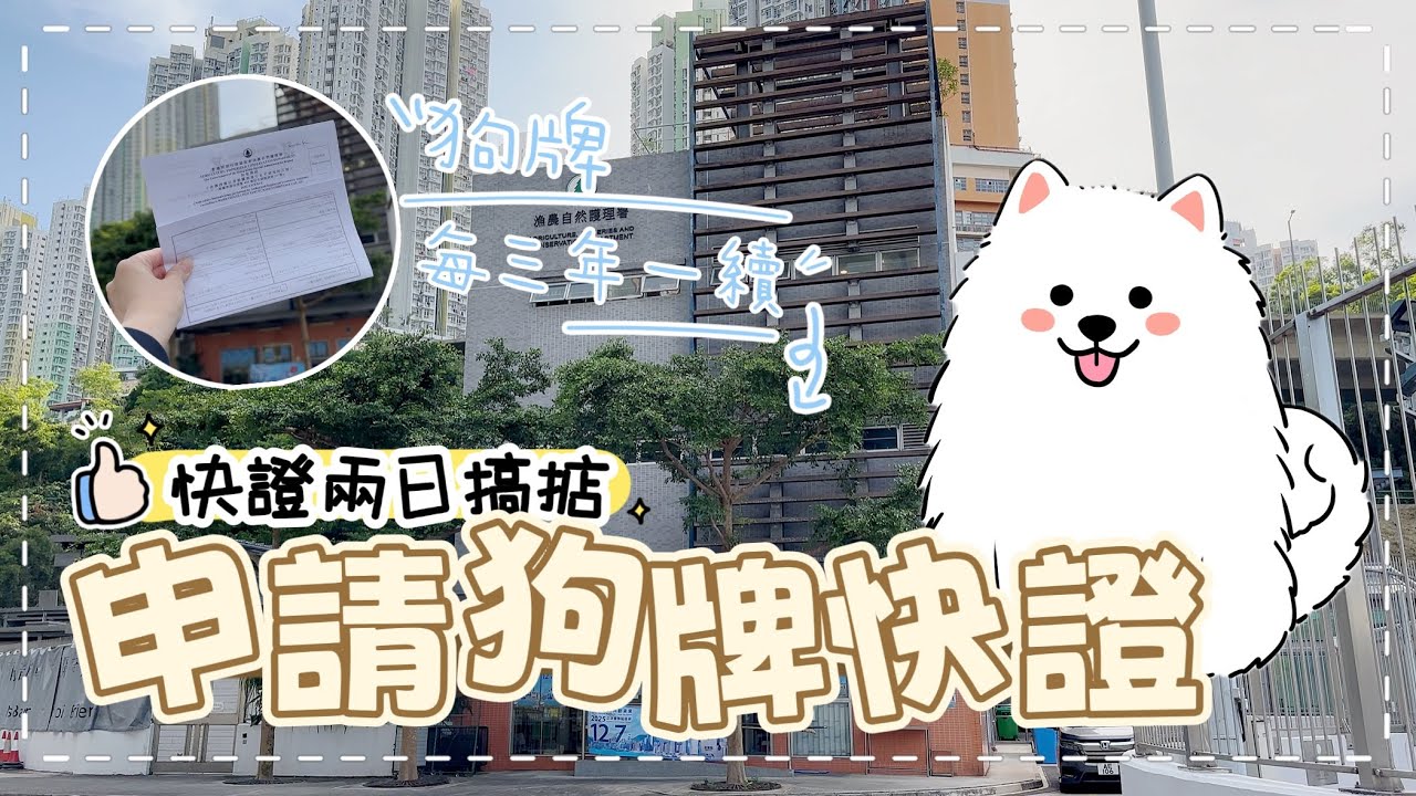 【我的養狗日記】等左半年都續唔到狗牌‼️追究獸醫嗎？親自上漁農處問個究竟｜西摩Tako｜@big_dog_channel 