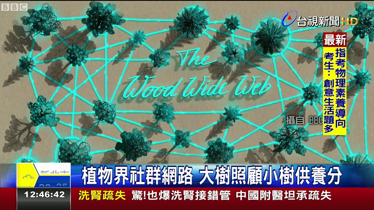 真菌發出化學信號樹木會說悄悄話