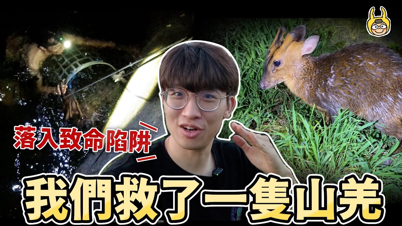 我中了山羌！突發救援任務！點燈遇見夢想的台灣深山鍬形蟲！【叢林大冒險】