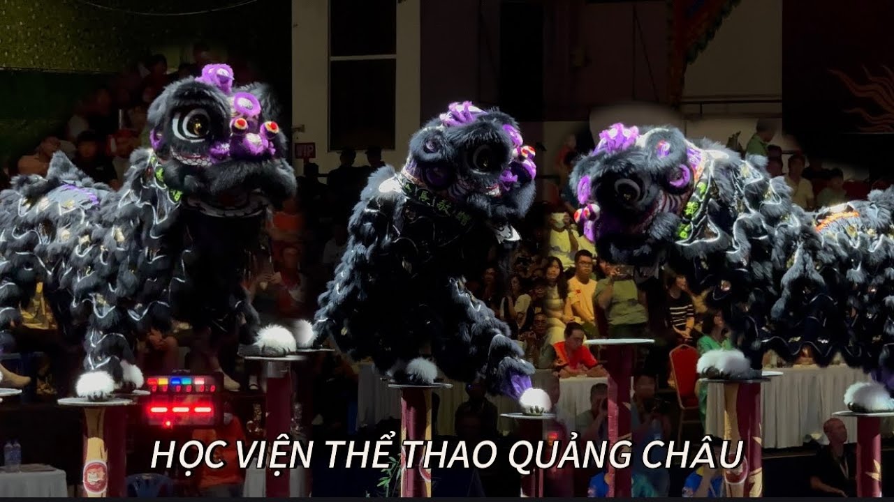 LION DANCE Guang Zhou Sport University ! GIẢI LÂN SƯ RỒNG QUỐC TẾ LẦN THỨ 8 - CÚP CHỢ LỚN HTV 2026