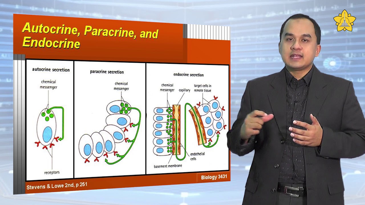 E-Learning (Biokimia Endokrin) - Bagian 1