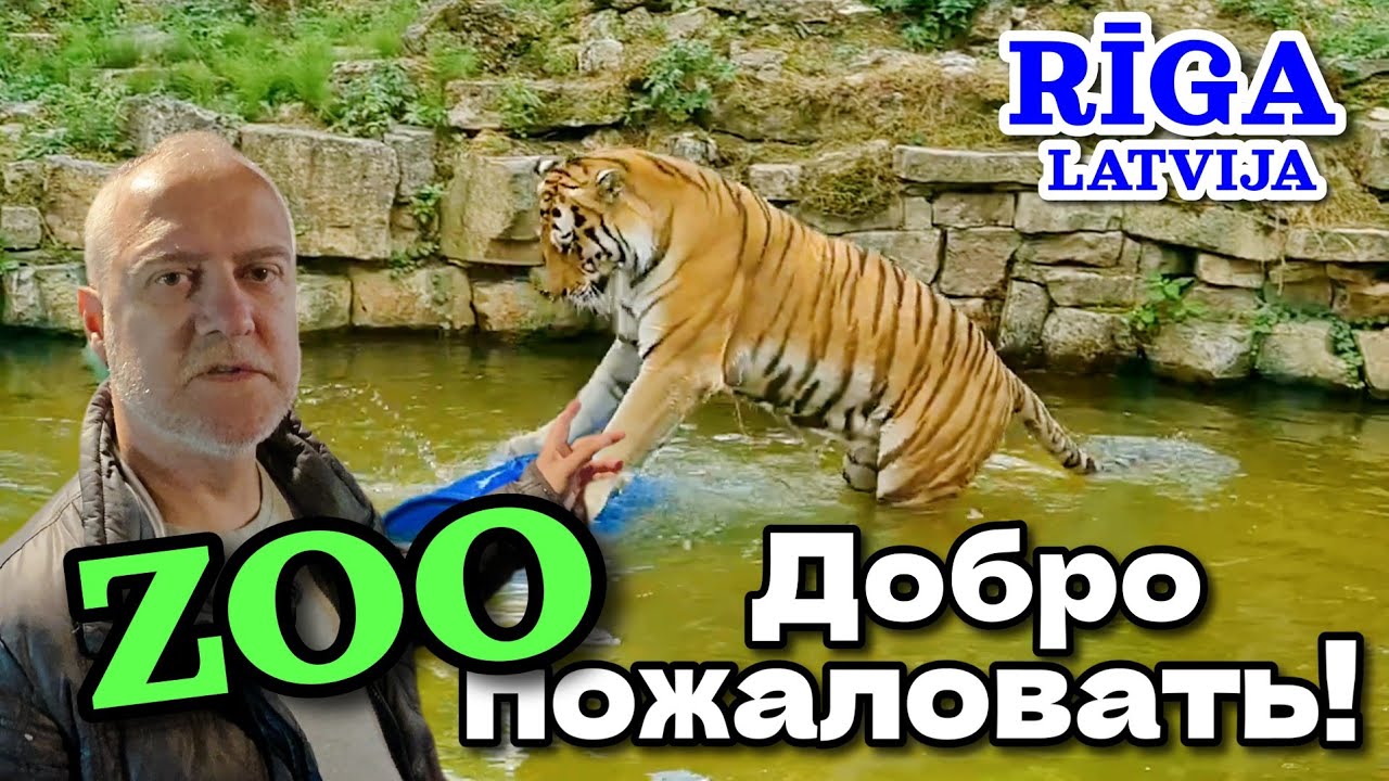 Рижский ЗООПАРК - Семейный поход  | 2025