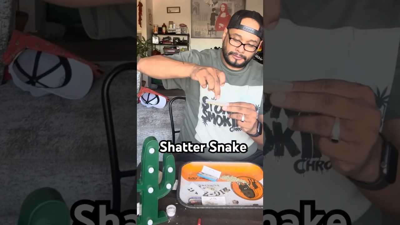 Shatter Snake infused joint #joints #zigzag #phoenix #handmade #arizona #mesa #youtubeshorts