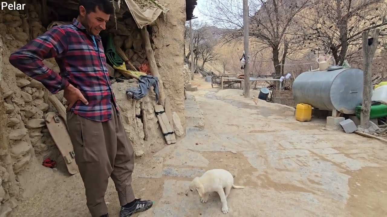 A Day on the Farm: Atabak and Shahin Collaborate to Grow the Farm