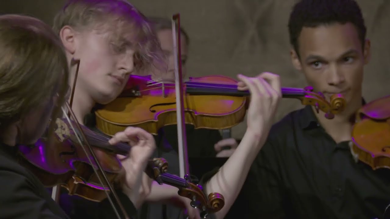Strauss, Beethoven & Schnelzer | Concert at Høymagasinet