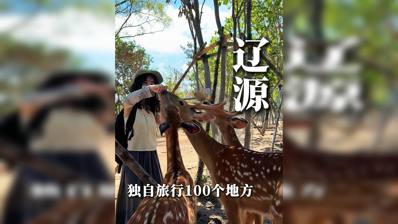 一个人游中国之黑金上的向阳花：辽源