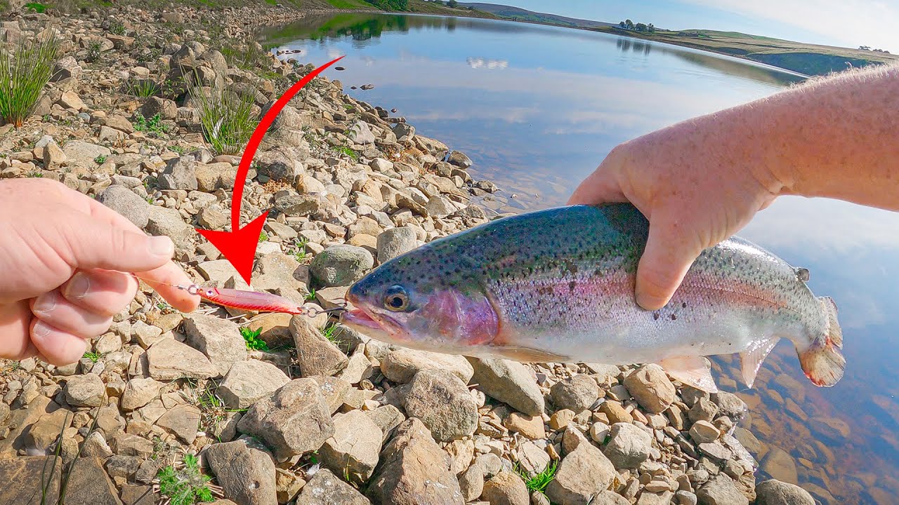 Lure Fishing for Trout at Grassholme Reservoir