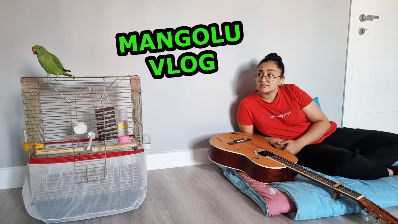 AİLECE VLOG / NURETİNİN ESKİ TELEFONU / SÜHEYLANIN RANZA SORUNU