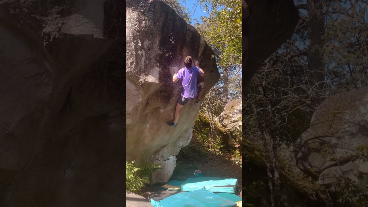 Salathe Wall Assis - 7C+ at Cuvier Rempart.