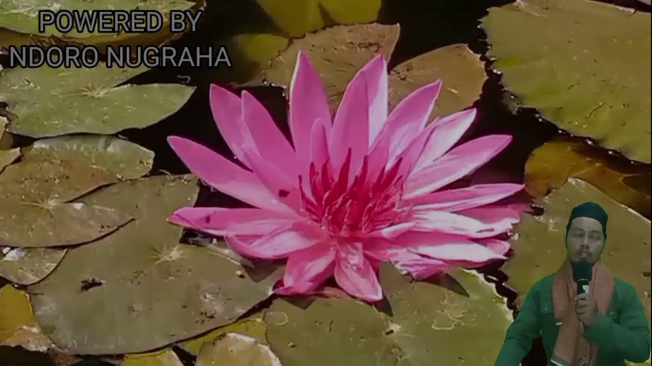 Иш йулларингиз очилади, кутмаган жойингиздан бойлик кела бошлайди, дуолар